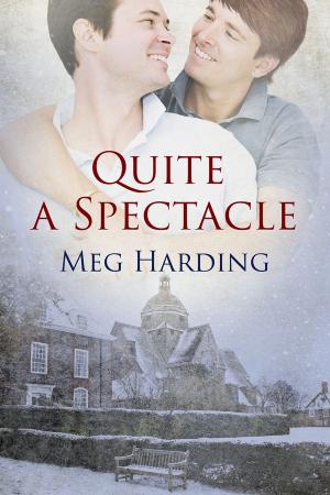 Cover of the book Quite A Spectacle by Michaela Grey