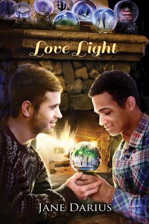 Cover of the book Love Light by Allison Cassatta