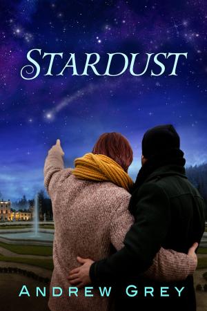 Cover of the book Stardust by S.A. Stovall