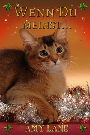 Cover of the book Wenn Du meinst... by Amy Rae Durreson