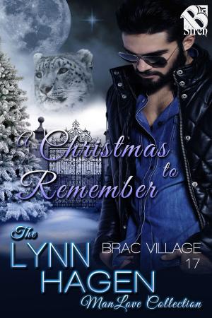 Book cover of A Christmas to Remember