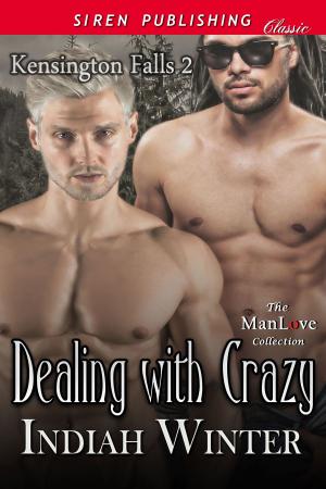 Cover of the book Dealing with Crazy by J. Rose Allister