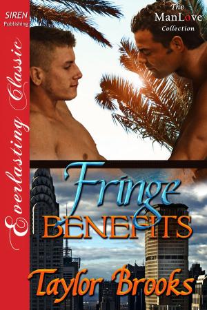 Cover of the book Fringe Benefits by Kathleen Kelly