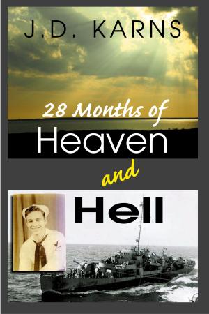 Book cover of 28 Months of Heaven and Hell