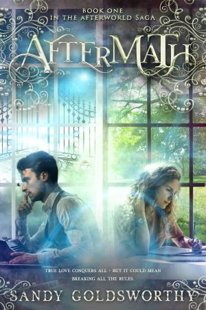 Cover of the book Aftermath by Michelle K. Pickett