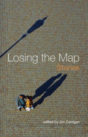 Cover of the book Losing the Map by James A. Janke