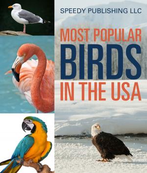 Cover of Most Popular Birds In The USA