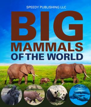 Cover of the book Big Mammals Of The World by Baby Professor