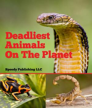 Cover of the book Deadliest Animals On The Planet by Baby Professor