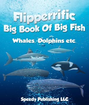 Cover of the book Flipperrific Big Book Of Big Fish (Whales, Dolphins etc) by Kevin Kurtz