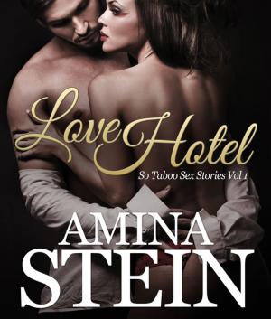 Cover of the book Love Hotel by Larissa Hinton