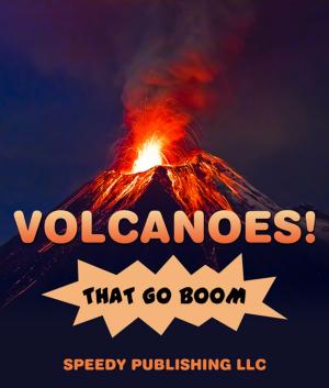 Cover of the book Volcanoes! That Go Boom by Faye Sonja