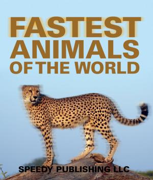 Cover of the book Fastest Animals Of The World by Baby Professor