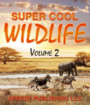 Cover of the book Super Cool Wildlife Volume 2 by Srinivas Vikram