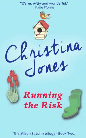 Cover of the book Running the Risk by Jodi Taylor