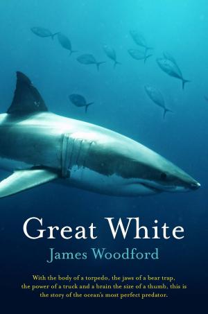 Cover of the book Great White by Jonny Benjamin, Britt Pflüger
