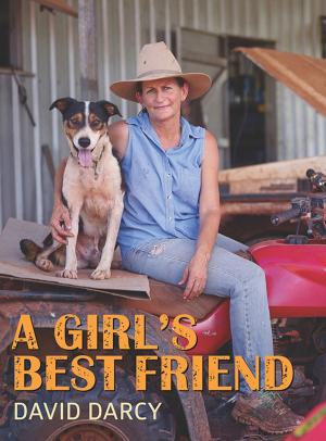 Cover of the book A Girl's Best Friend by Robert Macklin