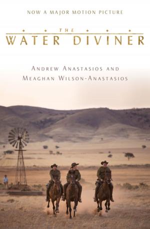 Book cover of The Water Diviner