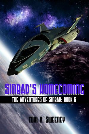 Cover of the book Sinbad's Homecoming by J. Malcolm Stewart