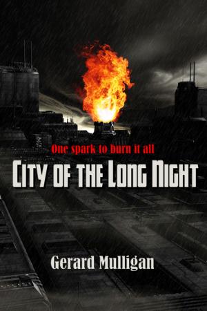 Cover of the book City Of The Long Night by Shelly M. Burrows, Michael Stewart