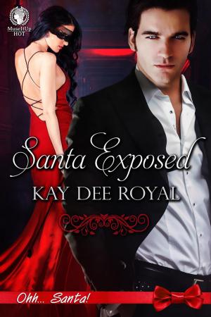 Cover of the book Santa Exposed by SJ Smith