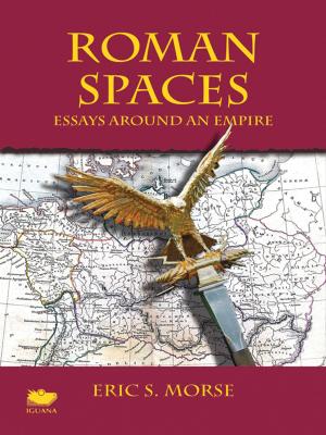 Cover of the book Roman Spaces by Annette Zakuta