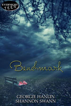 Cover of the book Benchmark by Melissa J. Crispin