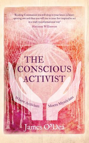 Cover of the book The Conscious Activist by Nick Seneca Jankel