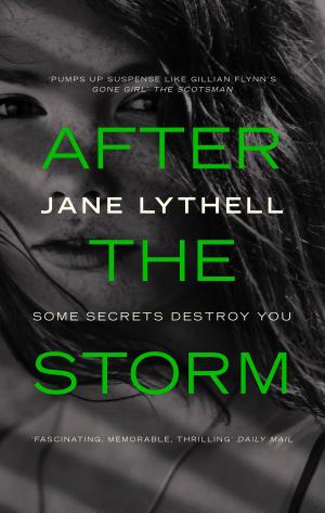 Cover of the book After the Storm by Anita Davison
