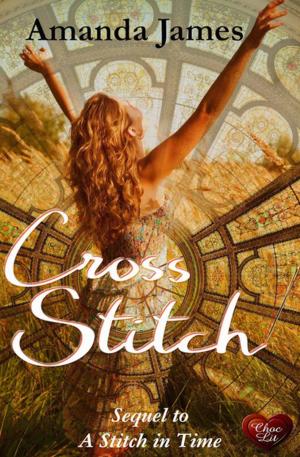 Book cover of Cross Stitch