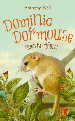 Cover of the book Dominic Dormouse Goes to Town by Aiden Vaughan