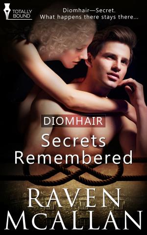 Cover of the book Secrets Remembered by Sierra Cartwright