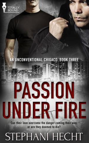 Cover of the book Passion Under Fire by Matt J. McKinnon