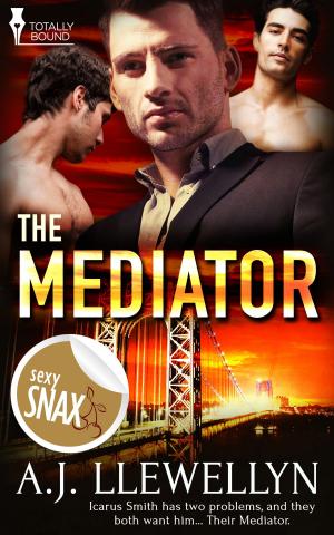 Cover of the book The Mediator by Belinda McBride