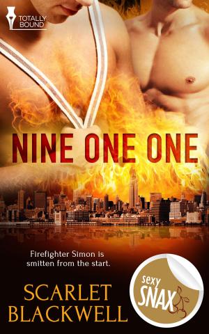 Cover of the book Nine One One by HK Carlton