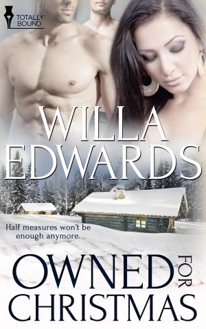Book cover of Owned for Christmas