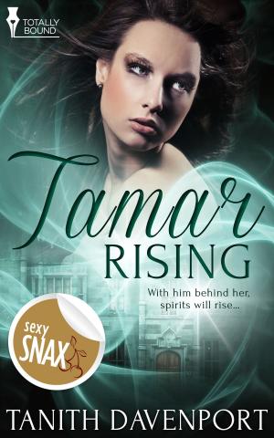 Cover of the book Tamar Rising by Emily Stone