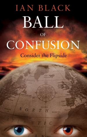 Cover of the book Ball of Confusion by M. T. Hallgarth