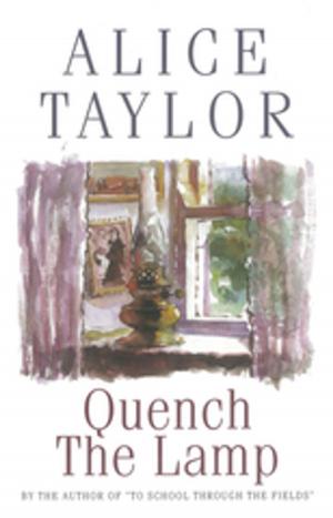 Cover of the book Quench the Lamp by Brian Gallagher