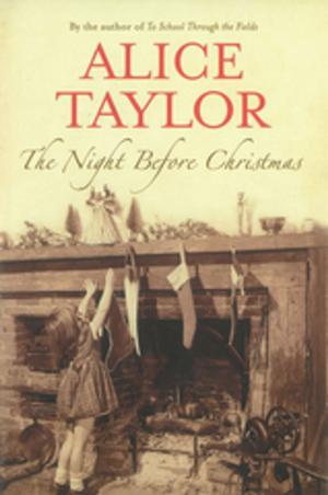 Cover of the book The Night Before Christmas by Gerard Siggins