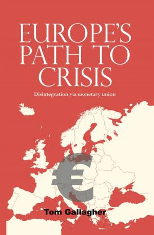 Book cover of Europe's path to crisis