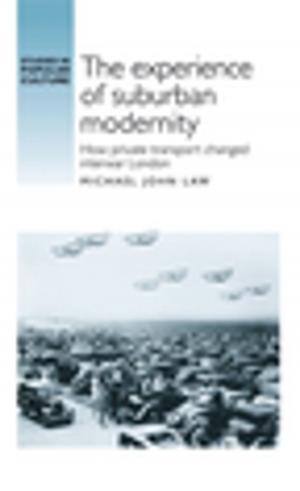 Cover of The experience of suburban modernity