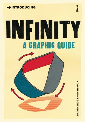 Book cover of Introducing Infinity