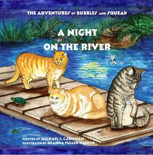 Cover of the book A Night on the River by Debora Emmert