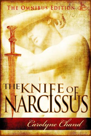 Book cover of The Knife of Narcissus (omnibus)