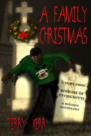 Cover of the book A Family Christmas by Debbie McGowan