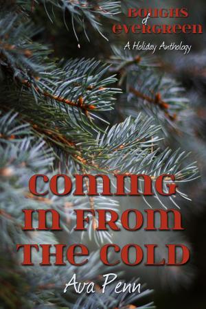 Cover of the book Coming in from the Cold by Jonathan Penn