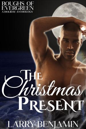 Cover of the book The Christmas Present by Ian D. Hall