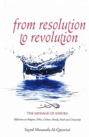 Book cover of From Resolution to Revolution
