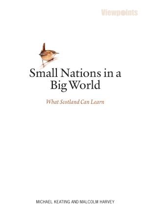 Cover of the book Small Nations in a Big World by Bruns, Don